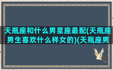 天瓶座和什么男星座最配(天瓶座男生喜欢什么样女的)(天瓶座男女配吗)