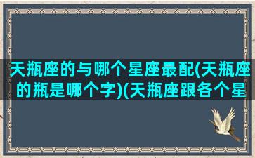 天瓶座的与哪个星座最配(天瓶座的瓶是哪个字)(天瓶座跟各个星座匹配)