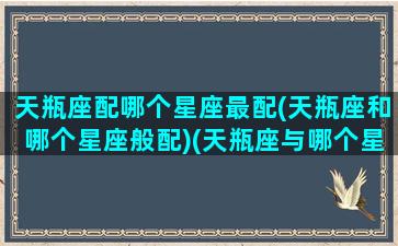 天瓶座配哪个星座最配(天瓶座和哪个星座般配)(天瓶座与哪个星座最配)