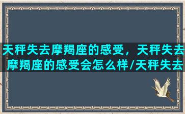 天秤失去摩羯座的感受，天秤失去摩羯座的感受会怎么样/天秤失去摩羯座的感受，天秤失去摩羯座的感受会怎么样-我的网站