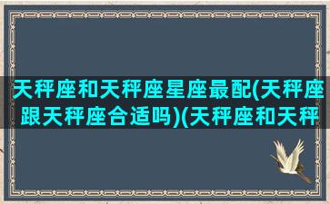 天秤座和天秤座星座最配(天秤座跟天秤座合适吗)(天秤座和天秤座星座最配对)