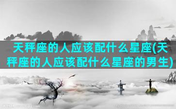 天秤座的人应该配什么星座(天秤座的人应该配什么星座的男生)