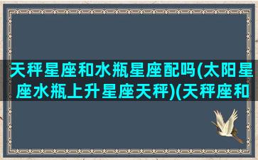 天秤星座和水瓶星座配吗(太阳星座水瓶上升星座天秤)(天秤座和水瓶座的匹配指数)