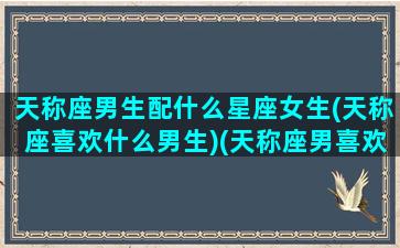 天称座男生配什么星座女生(天称座喜欢什么男生)(天称座男喜欢哪种类型的女生)