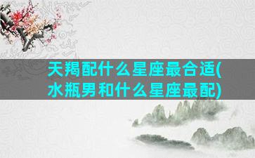 天羯配什么星座最合适(水瓶男和什么星座最配)