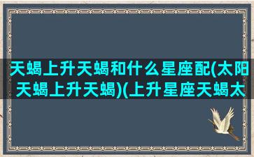 天蝎上升天蝎和什么星座配(太阳天蝎上升天蝎)(上升星座天蝎太阳星座天蝎)