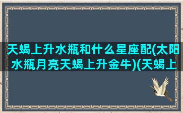 天蝎上升水瓶和什么星座配(太阳水瓶月亮天蝎上升金牛)(天蝎上升星座水瓶座)