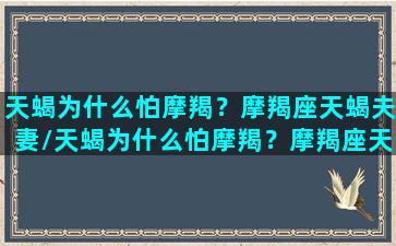 天蝎为什么怕摩羯？摩羯座天蝎夫妻/天蝎为什么怕摩羯？摩羯座天蝎夫妻-我的网站