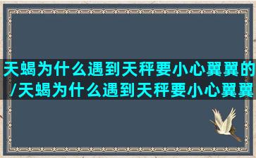 天蝎为什么遇到天秤要小心翼翼的/天蝎为什么遇到天秤要小心翼翼的-我的网站