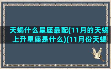 天蝎什么星座最配(11月的天蝎上升星座是什么)(11月份天蝎上升星座)