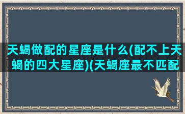 天蝎做配的星座是什么(配不上天蝎的四大星座)(天蝎座最不匹配)