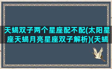 天蝎双子两个星座配不配(太阳星座天蝎月亮星座双子解析)(天蝎双子其实是绝配做朋友)