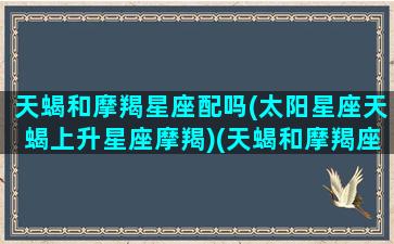 天蝎和摩羯星座配吗(太阳星座天蝎上升星座摩羯)(天蝎和摩羯座匹配程度是多少)