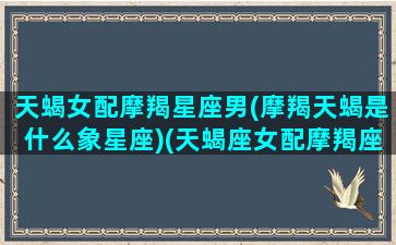 天蝎女配摩羯星座男(摩羯天蝎是什么象星座)(天蝎座女配摩羯座男合适吗)