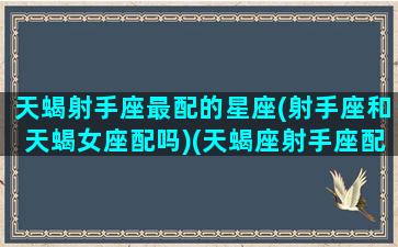 天蝎射手座最配的星座(射手座和天蝎女座配吗)(天蝎座射手座配不配)