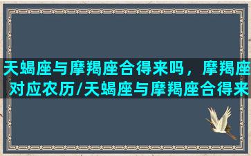 天蝎座与摩羯座合得来吗，摩羯座对应农历/天蝎座与摩羯座合得来吗，摩羯座对应农历-我的网站