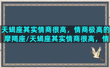 天蝎座其实情商很高，情商极高的摩羯座/天蝎座其实情商很高，情商极高的摩羯座-我的网站