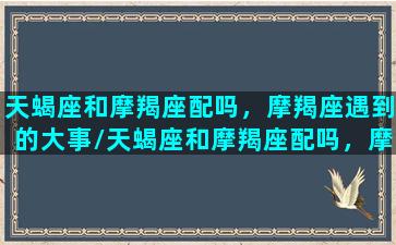 天蝎座和摩羯座配吗，摩羯座遇到的大事/天蝎座和摩羯座配吗，摩羯座遇到的大事-我的网站