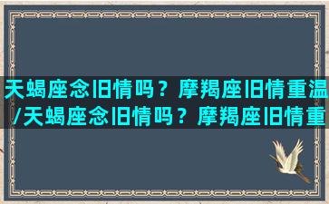 天蝎座念旧情吗？摩羯座旧情重温/天蝎座念旧情吗？摩羯座旧情重温-我的网站