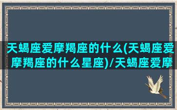 天蝎座爱摩羯座的什么(天蝎座爱摩羯座的什么星座)/天蝎座爱摩羯座的什么(天蝎座爱摩羯座的什么星座)-我的网站