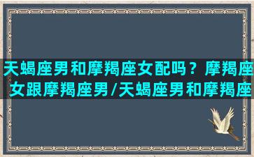 天蝎座男和摩羯座女配吗？摩羯座女跟摩羯座男/天蝎座男和摩羯座女配吗？摩羯座女跟摩羯座男-我的网站