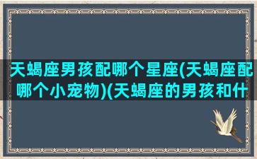 天蝎座男孩配哪个星座(天蝎座配哪个小宠物)(天蝎座的男孩和什么星座的女孩最搭配)