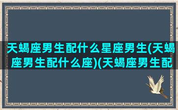 天蝎座男生配什么星座男生(天蝎座男生配什么座)(天蝎座男生配什么星座女生最好)