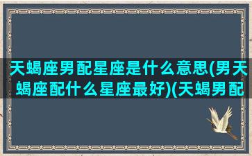 天蝎座男配星座是什么意思(男天蝎座配什么星座最好)(天蝎男配什么星座最合适)