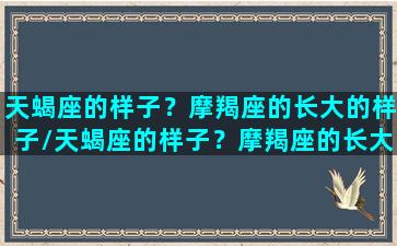 天蝎座的样子？摩羯座的长大的样子/天蝎座的样子？摩羯座的长大的样子-我的网站