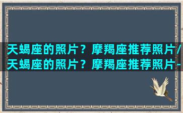 天蝎座的照片？摩羯座推荐照片/天蝎座的照片？摩羯座推荐照片-我的网站