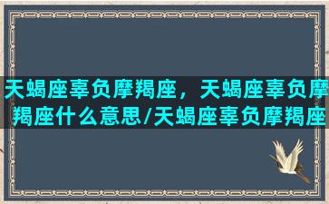 天蝎座辜负摩羯座，天蝎座辜负摩羯座什么意思/天蝎座辜负摩羯座，天蝎座辜负摩羯座什么意思-我的网站