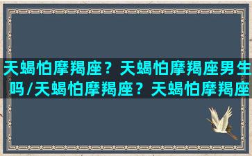 天蝎怕摩羯座？天蝎怕摩羯座男生吗/天蝎怕摩羯座？天蝎怕摩羯座男生吗-我的网站