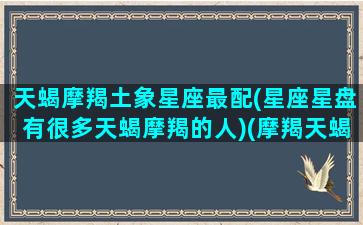 天蝎摩羯土象星座最配(星座星盘有很多天蝎摩羯的人)(摩羯天蝎相位)