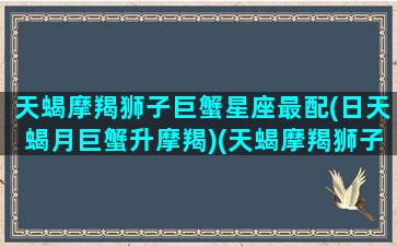 天蝎摩羯狮子巨蟹星座最配(日天蝎月巨蟹升摩羯)(天蝎摩羯狮子谁厉害)