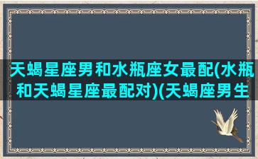 天蝎星座男和水瓶座女最配(水瓶和天蝎星座最配对)(天蝎座男生和水瓶座女生配对结果)