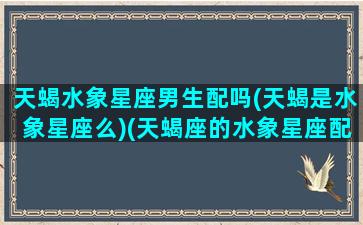 天蝎水象星座男生配吗(天蝎是水象星座么)(天蝎座的水象星座配对)