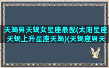 天蝎男天蝎女星座最配(太阳星座天蝎上升星座天蝎)(天蝎座男天蝎座女配对)