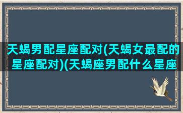 天蝎男配星座配对(天蝎女最配的星座配对)(天蝎座男配什么星座女最好)