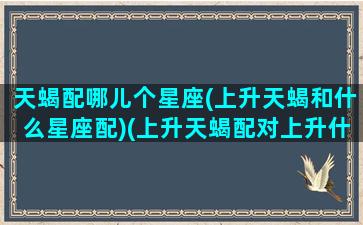 天蝎配哪儿个星座(上升天蝎和什么星座配)(上升天蝎配对上升什么好)