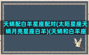 天蝎配白羊星座配对(太阳星座天蝎月亮星座白羊)(天蝎和白羊座匹配程度是多少)