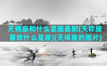 天褐座和什么星座最配(天称座喜欢什么星座)(天褐座的图片)