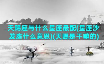 天赐座与什么星座最配(星座沙发座什么意思)(天赐是干嘛的)