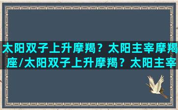 太阳双子上升摩羯？太阳主宰摩羯座/太阳双子上升摩羯？太阳主宰摩羯座-我的网站