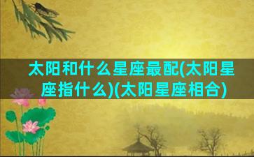 太阳和什么星座最配(太阳星座指什么)(太阳星座相合)