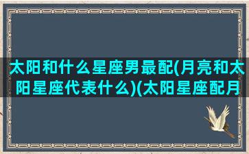 太阳和什么星座男最配(月亮和太阳星座代表什么)(太阳星座配月亮星座不配)