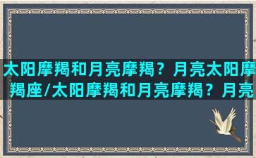 太阳摩羯和月亮摩羯？月亮太阳摩羯座/太阳摩羯和月亮摩羯？月亮太阳摩羯座-我的网站