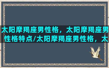 太阳摩羯座男性格，太阳摩羯座男性格特点/太阳摩羯座男性格，太阳摩羯座男性格特点-我的网站