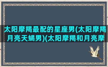 太阳摩羯最配的星座男(太阳摩羯月亮天蝎男)(太阳摩羯和月亮摩羯区别)