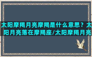 太阳摩羯月亮摩羯是什么意思？太阳月亮落在摩羯座/太阳摩羯月亮摩羯是什么意思？太阳月亮落在摩羯座-我的网站