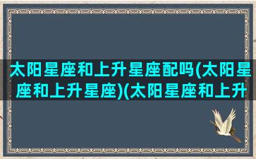 太阳星座和上升星座配吗(太阳星座和上升星座)(太阳星座和上升星座什么区别)